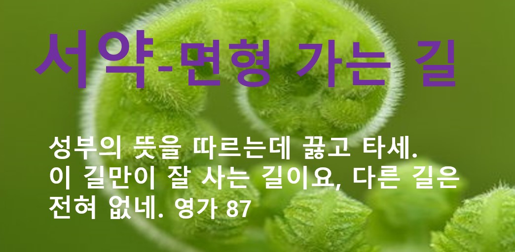 서약으로가는길.jpg