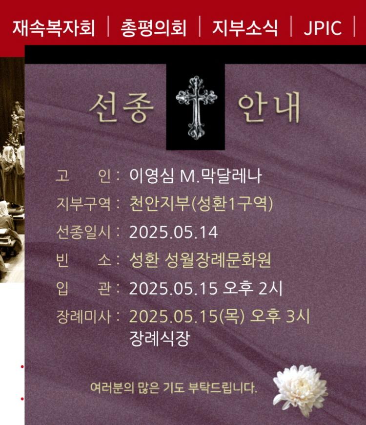 KakaoTalk_20250519_204747553.jpg