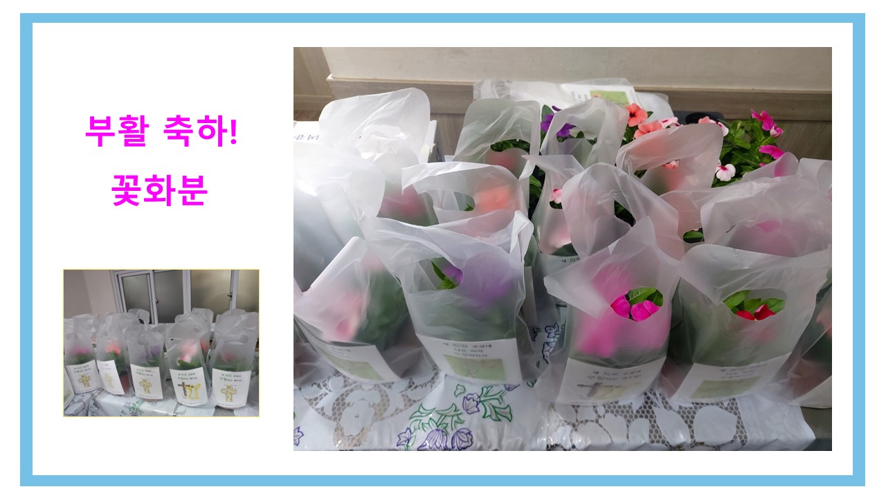 슬라이드10.JPG