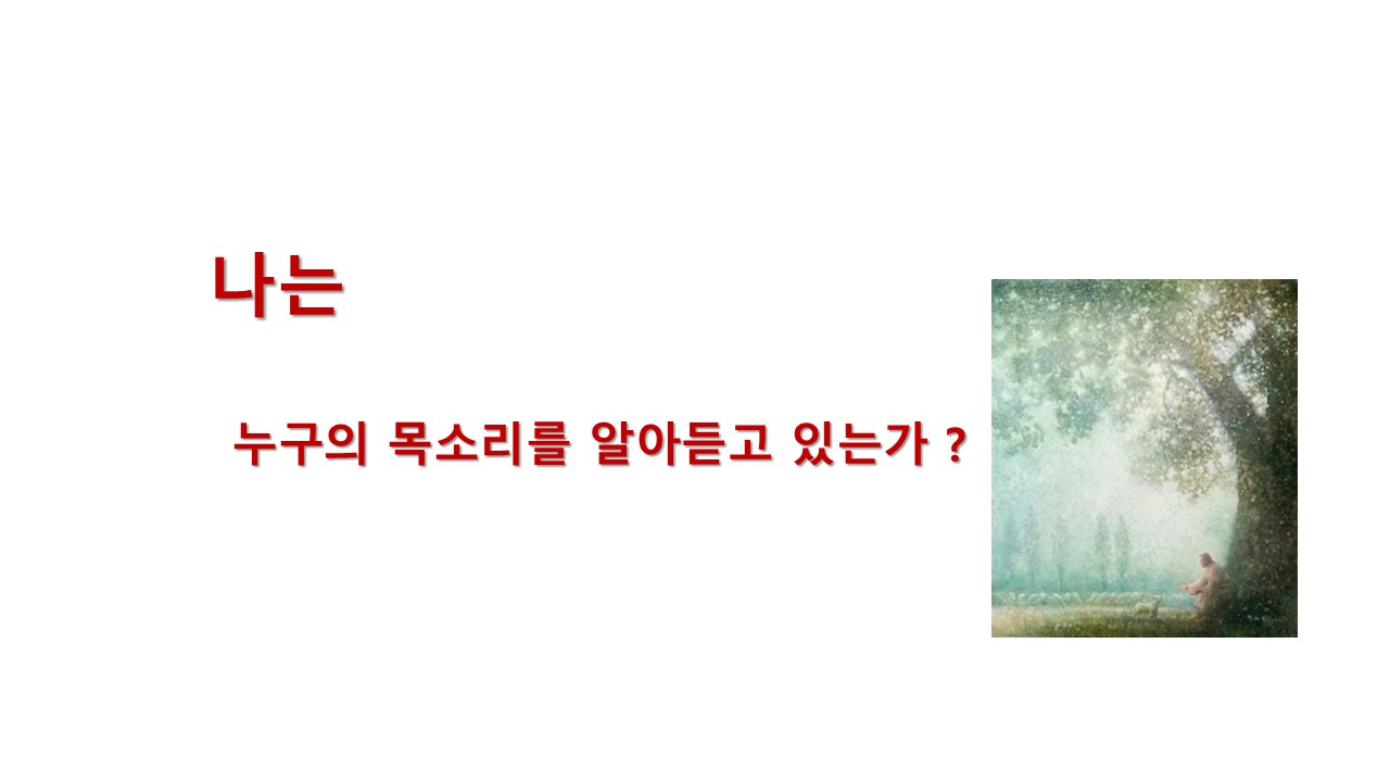 슬라이드37.JPG