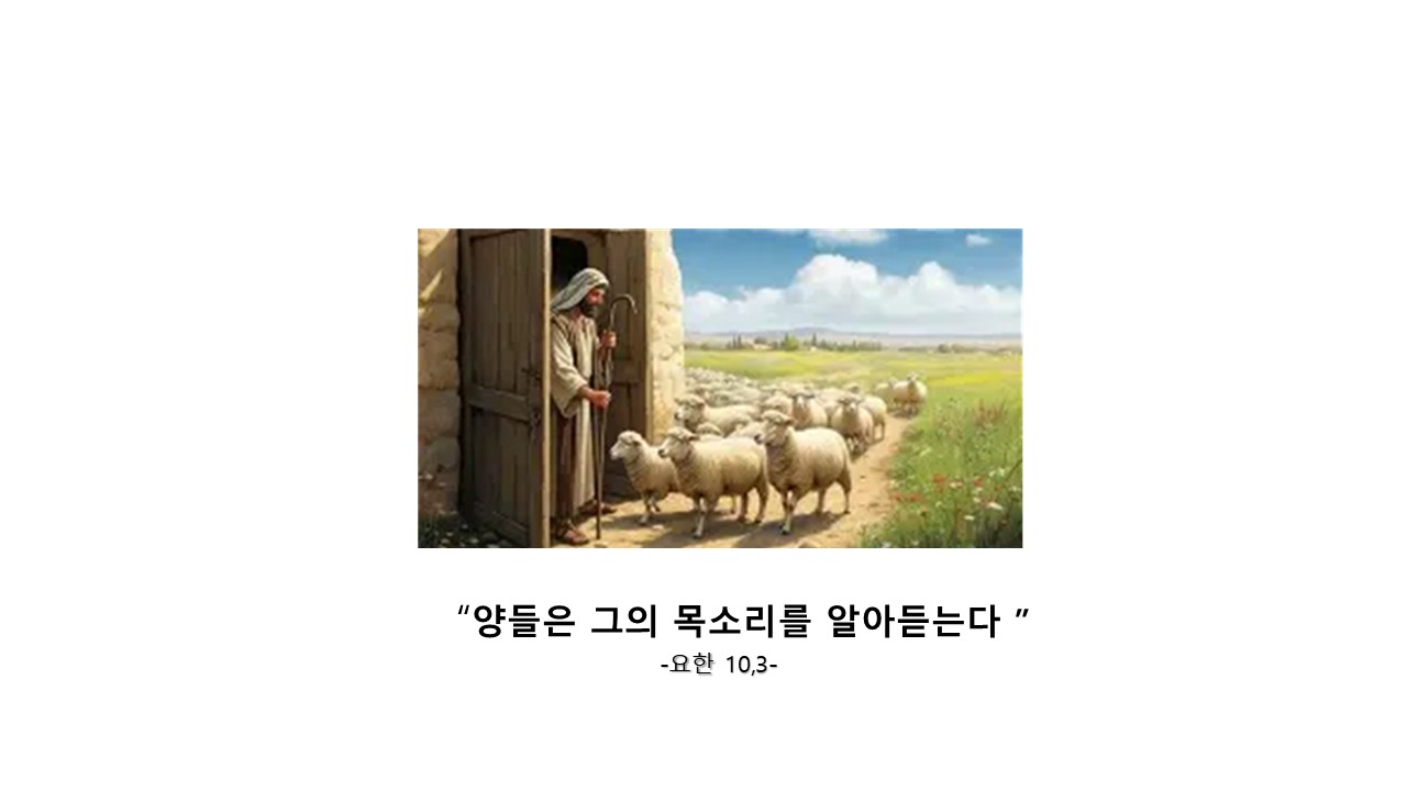 슬라이드2.JPG
