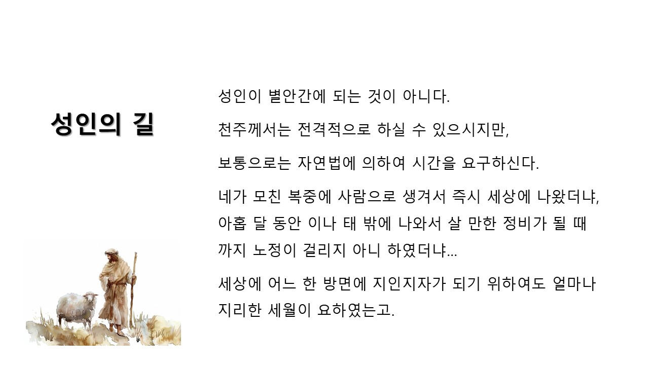 슬라이드35.JPG