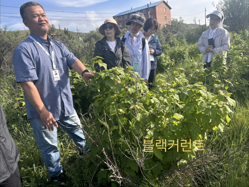 KakaoTalk_20260721_105550459_06.jpg